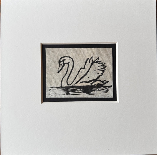 Svane inkl passepartout