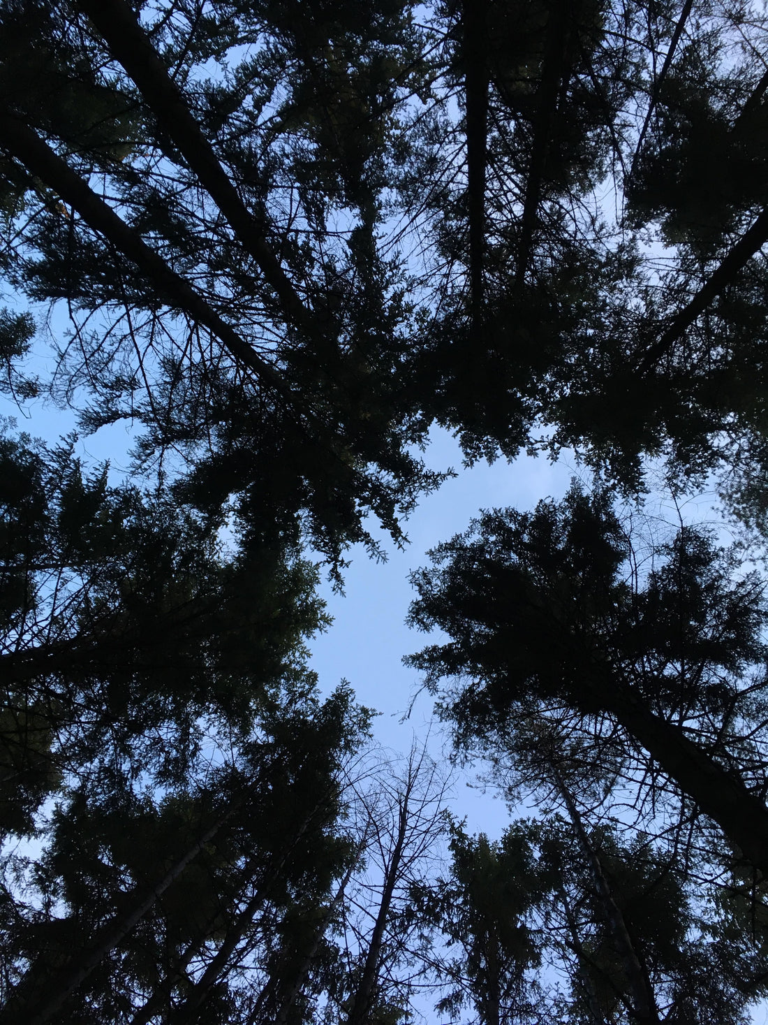 Kreftforeningen kan kunsten å gi til andre