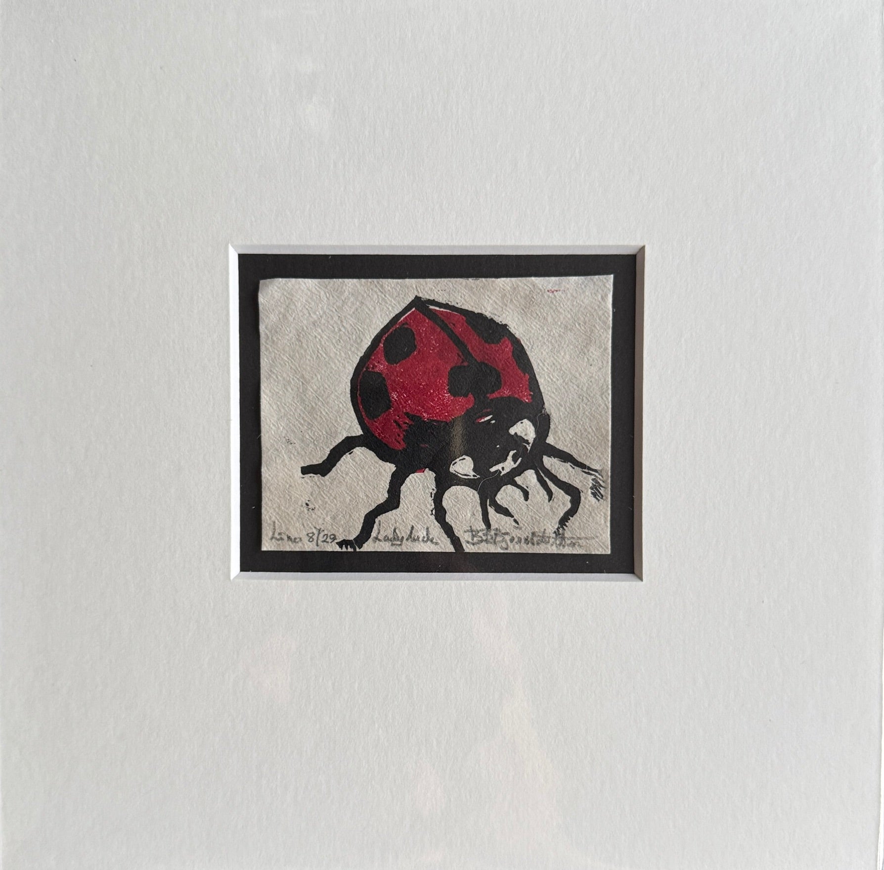 Lady luck 8/29 inkludert passepartout