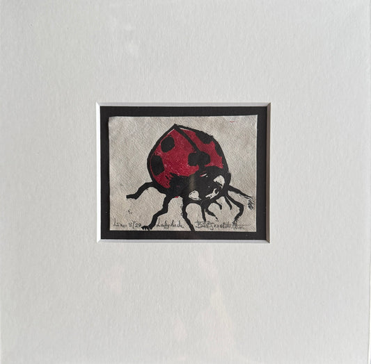 Lady luck 8/29 inkludert passepartout