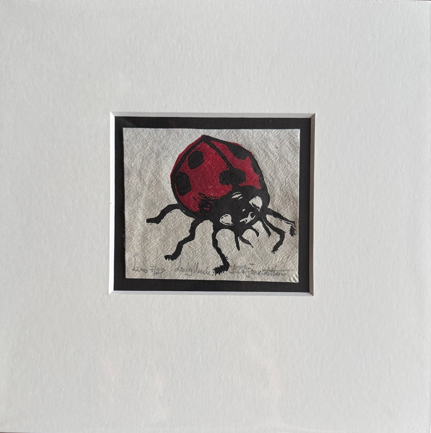 Lady luck 7/29 inkludert passepartout