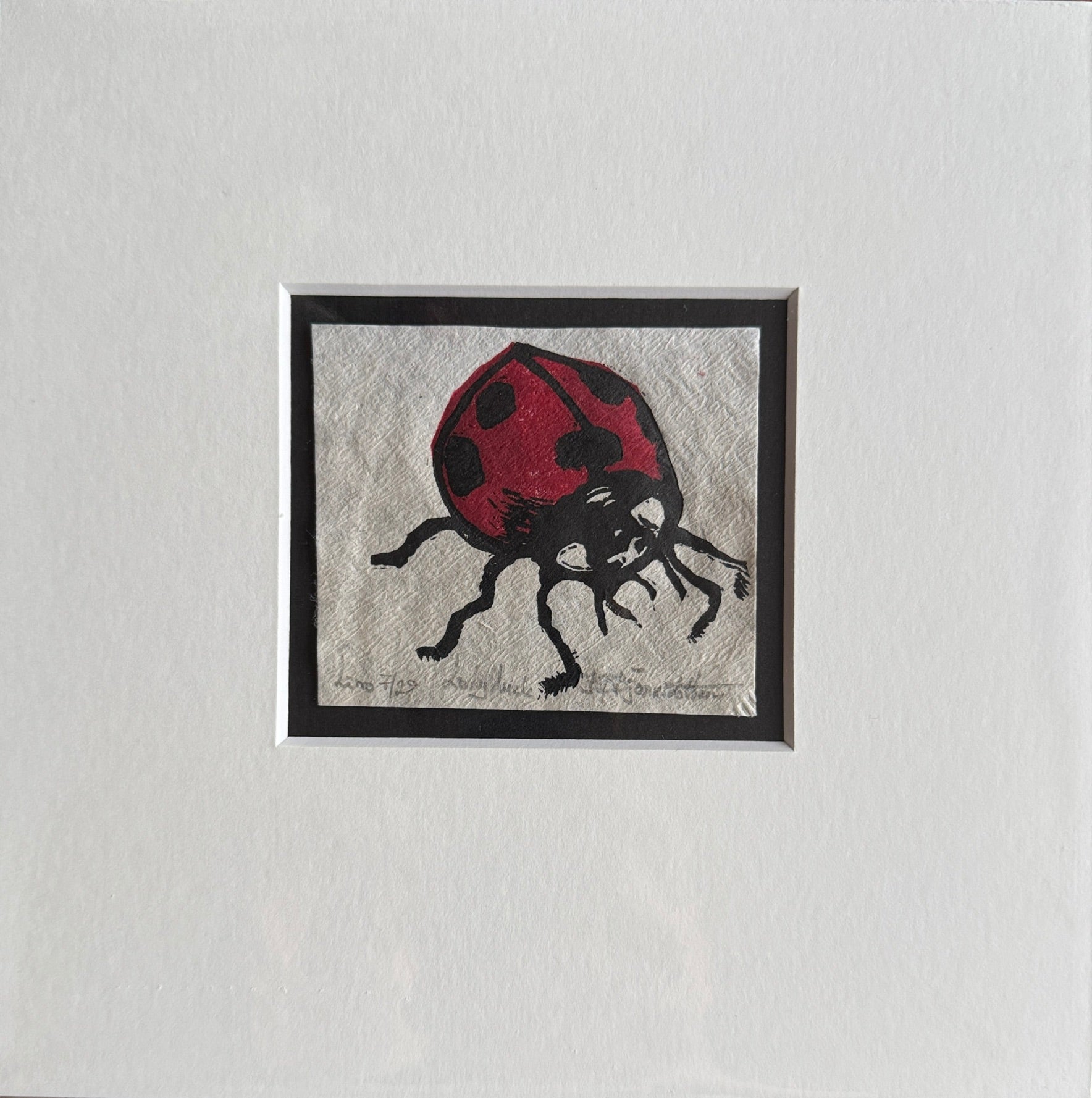 Lady luck 7/29 inkludert passepartout