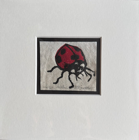 Lady luck 7/29 inkludert passepartout
