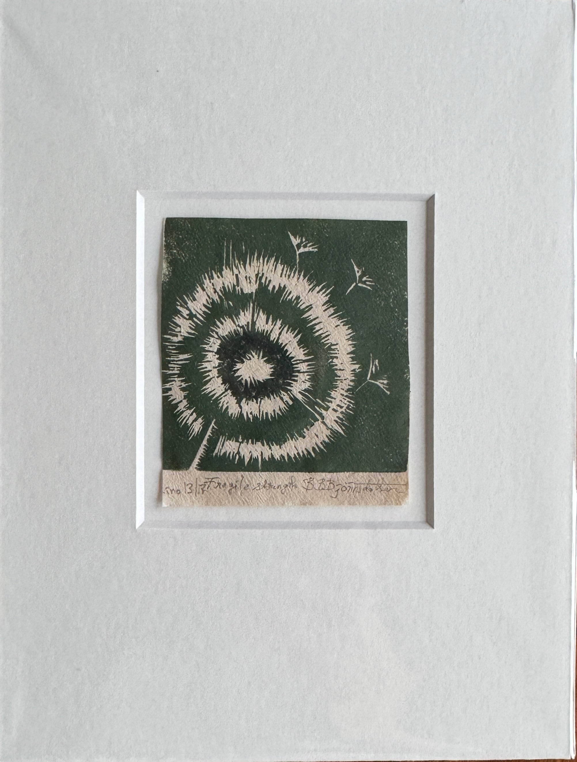 Fragile strength 13/17  inkludert passepartout