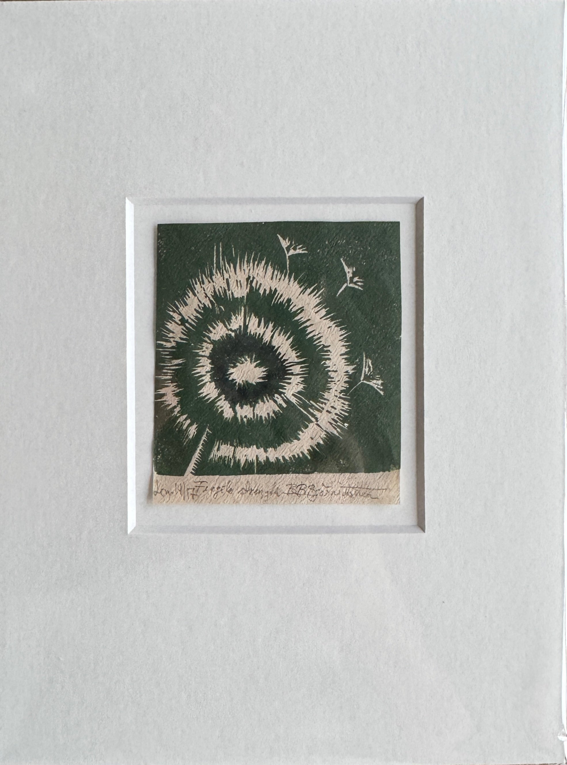 Fragile strength 14/17  inkludert passepartout