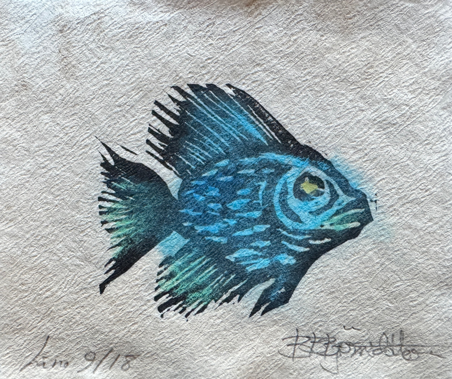 Liten fisk