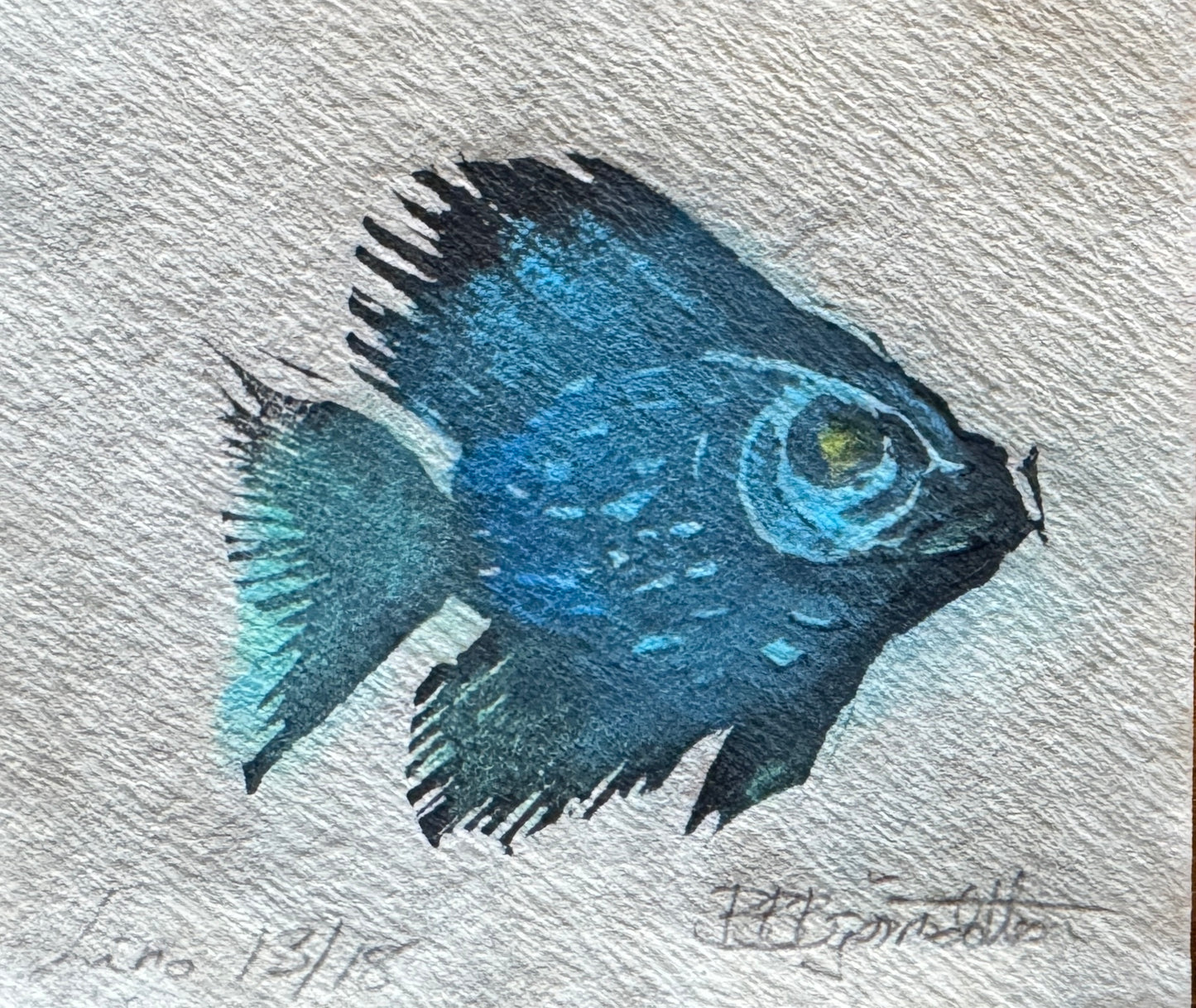 Liten fisk