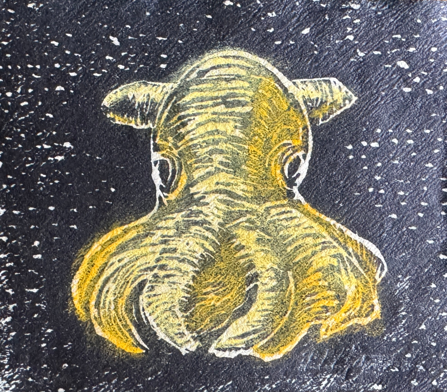 Dumbo blekksprut