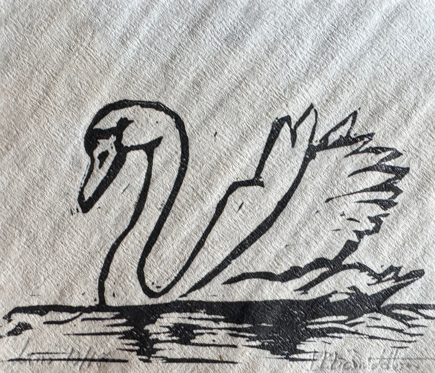 Svane
