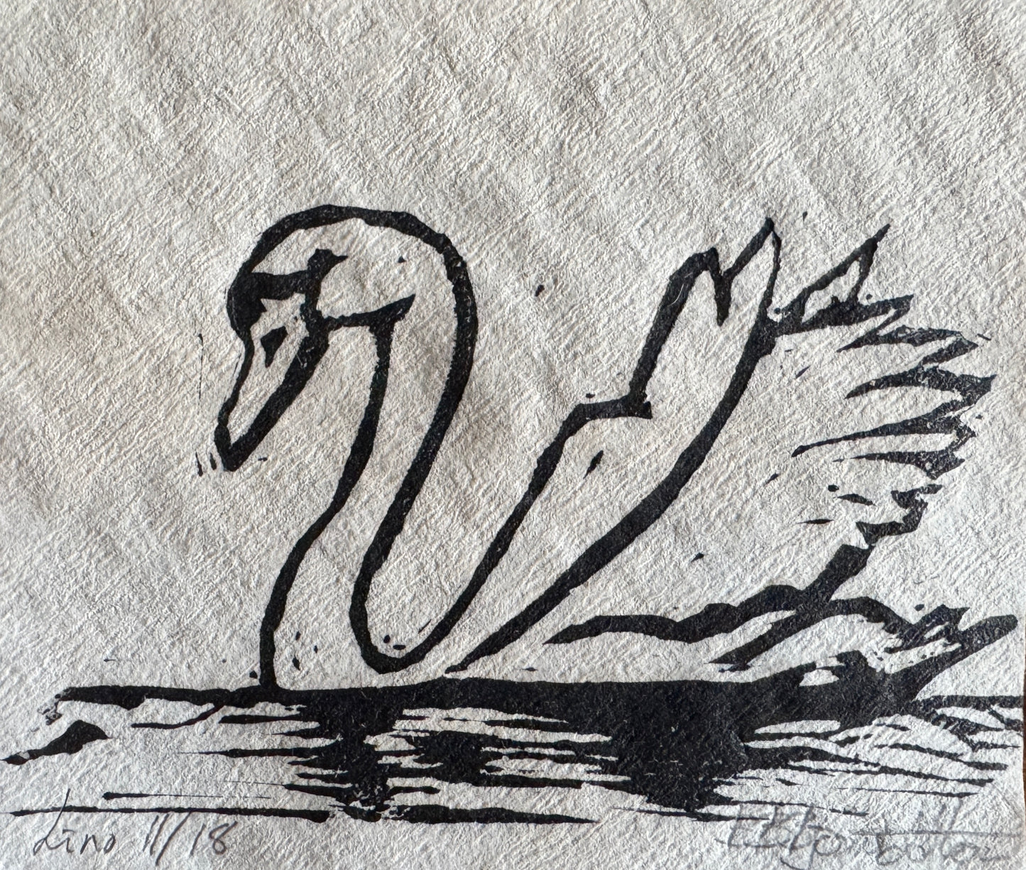 Svane