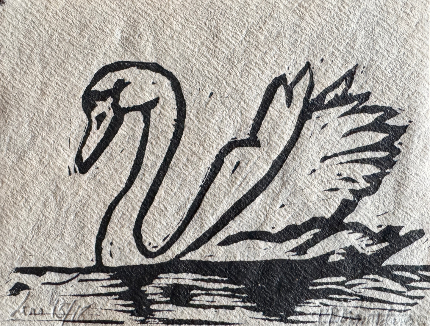 Svane