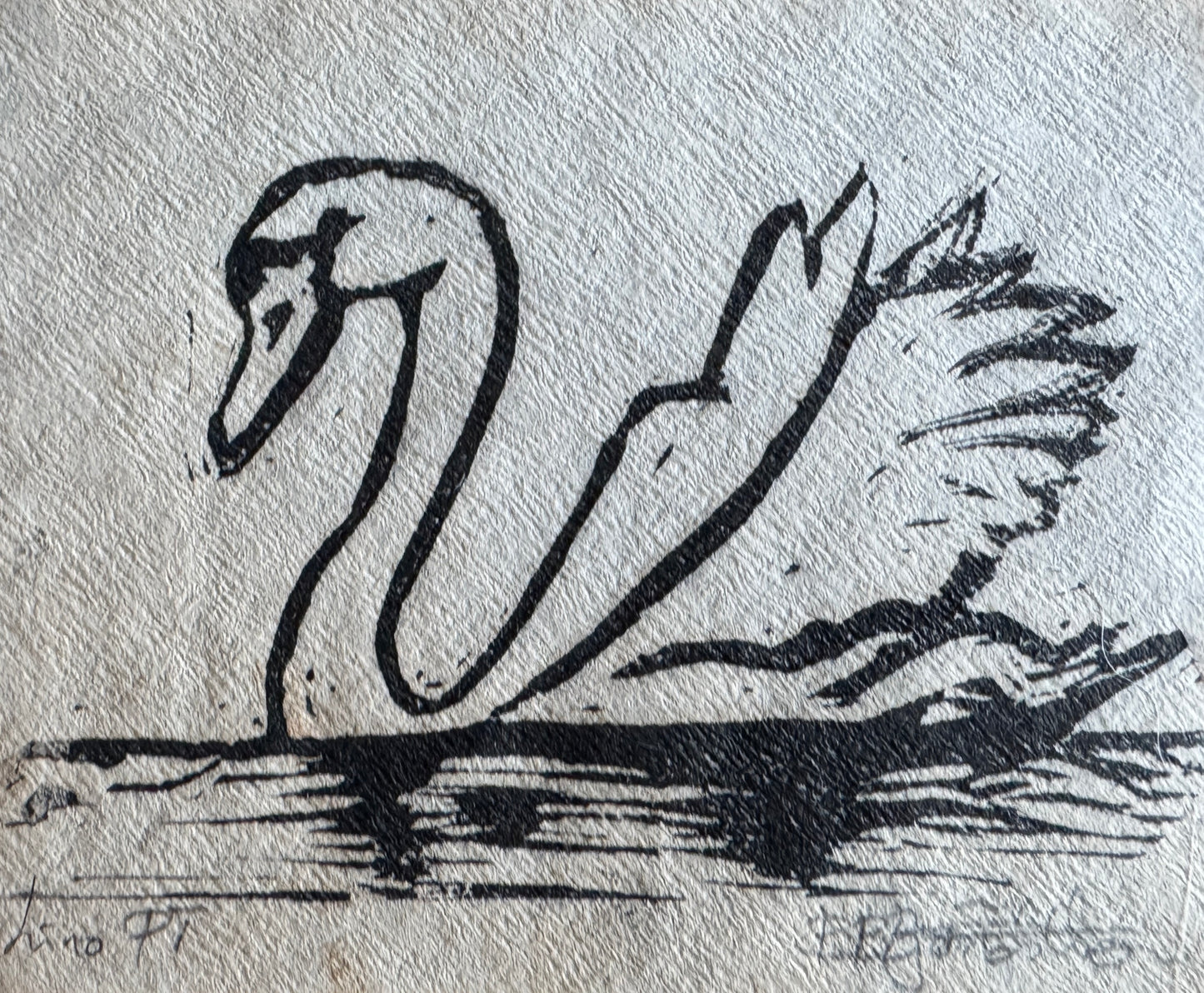 Svane