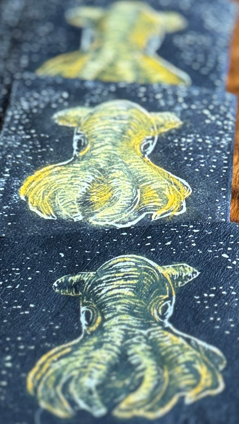 Dumbo blekksprut