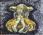 Dumbo octopus