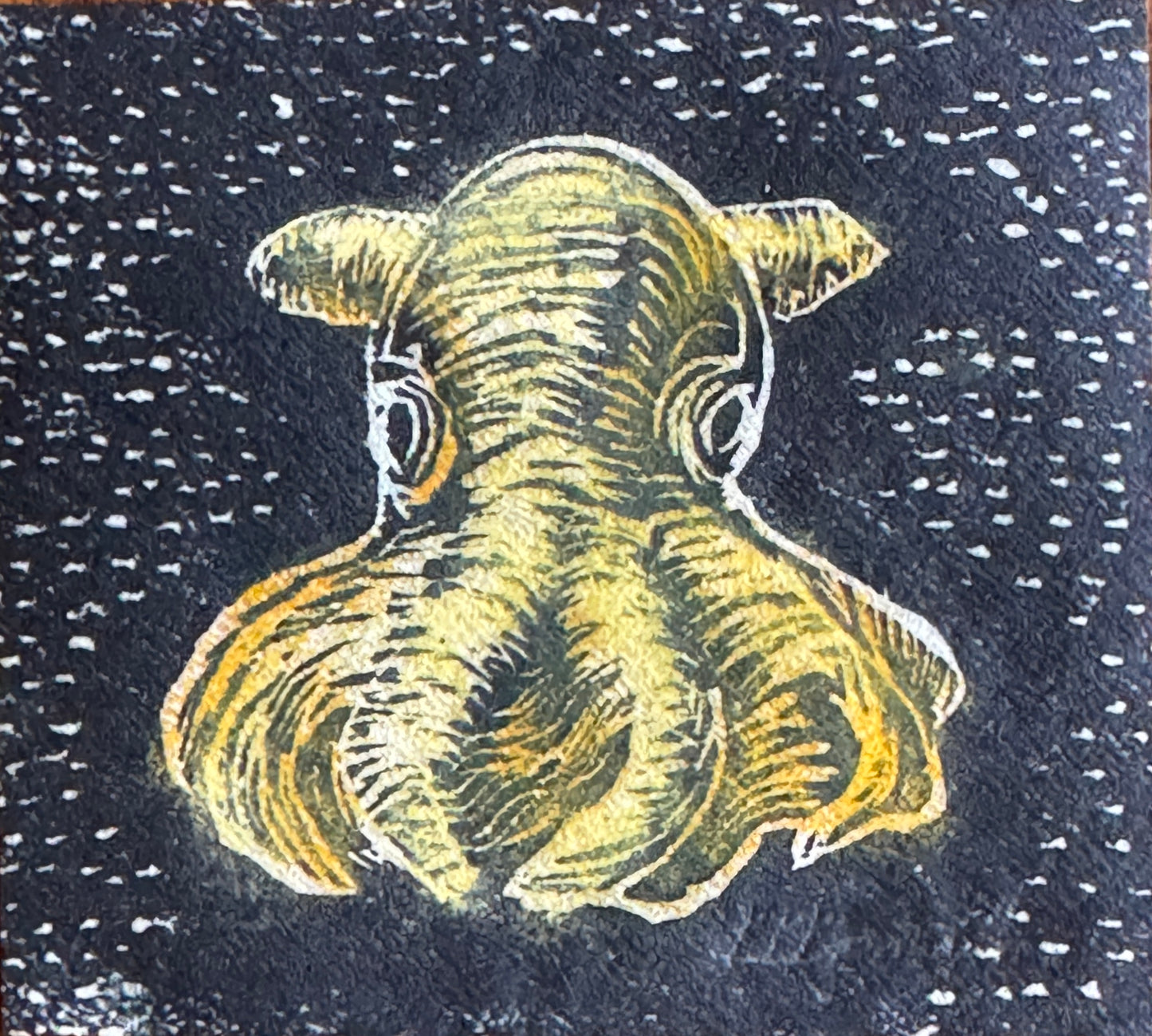 Dumbo blekksprut