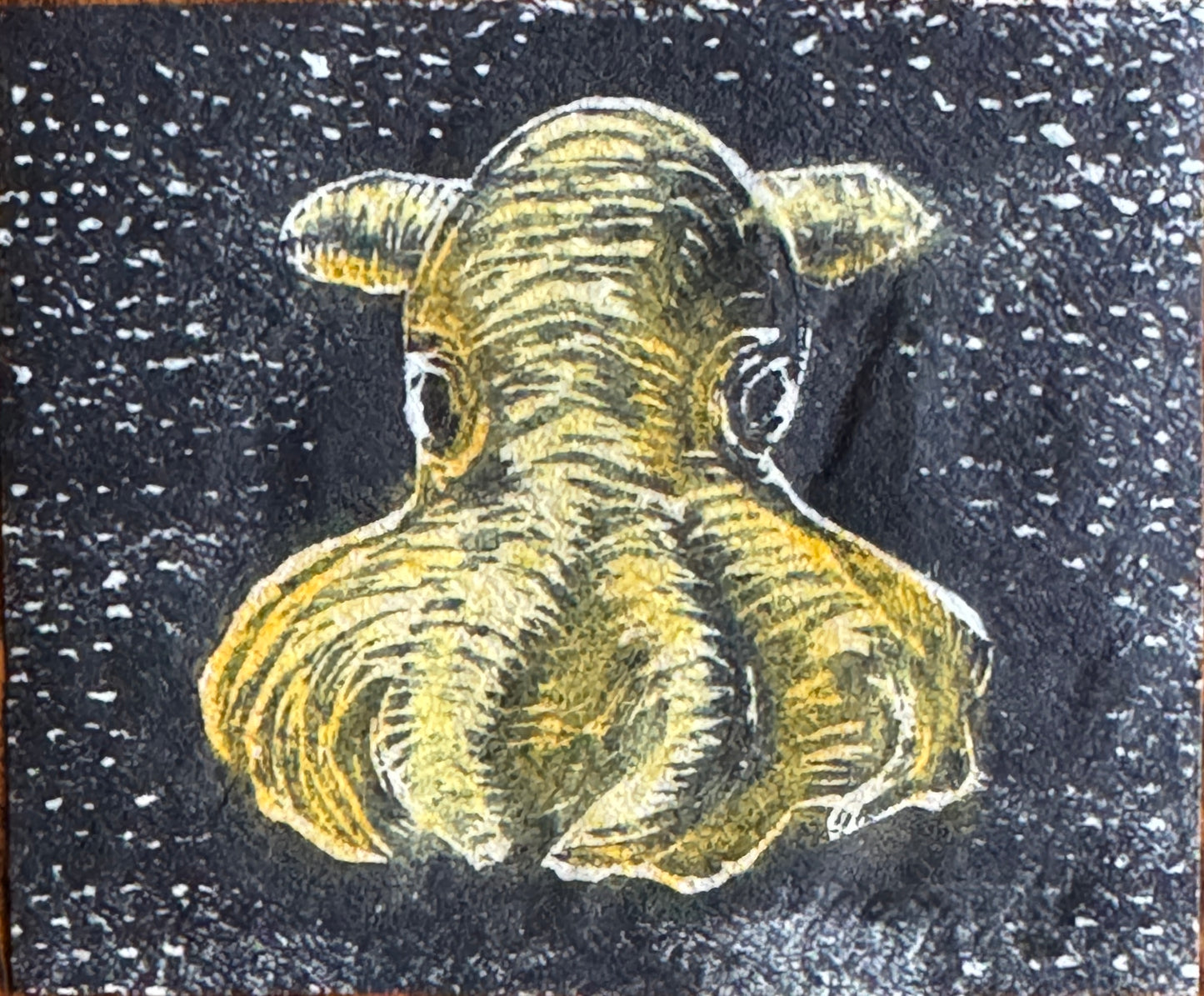 Dumbo blekksprut