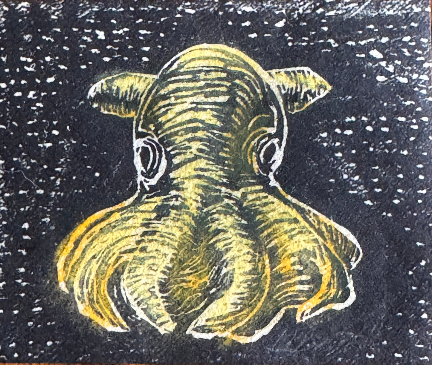 Dumbo blekksprut