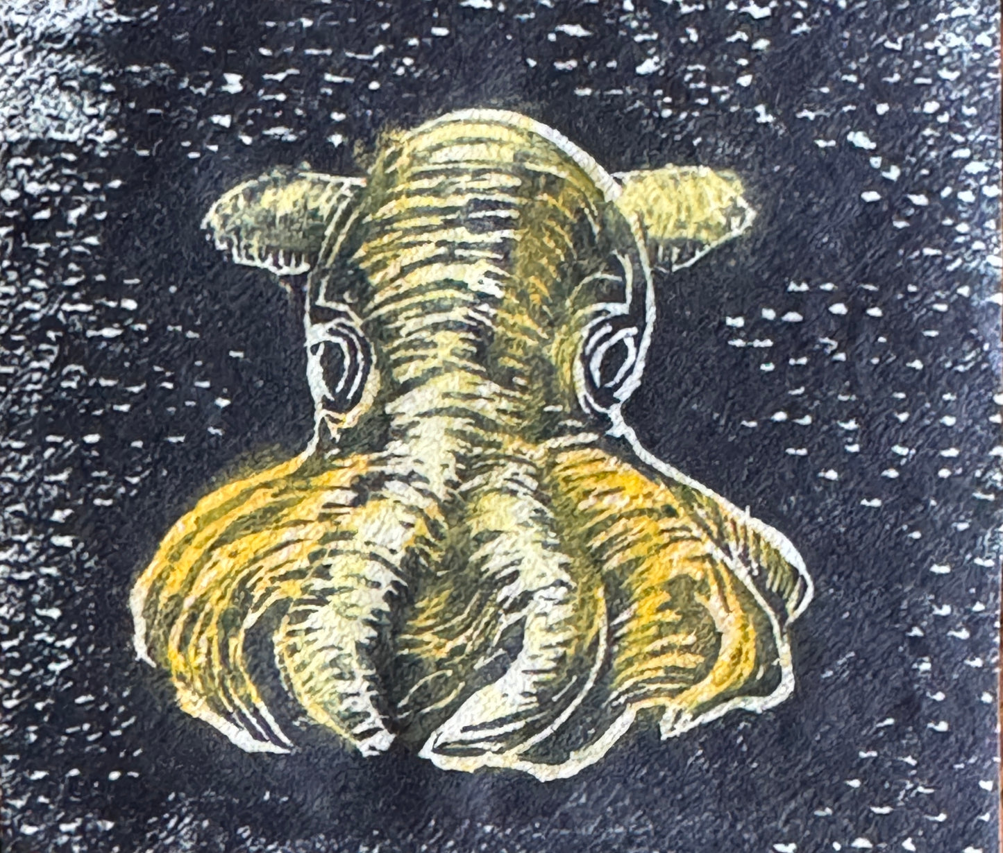 Dumbo blekksprut