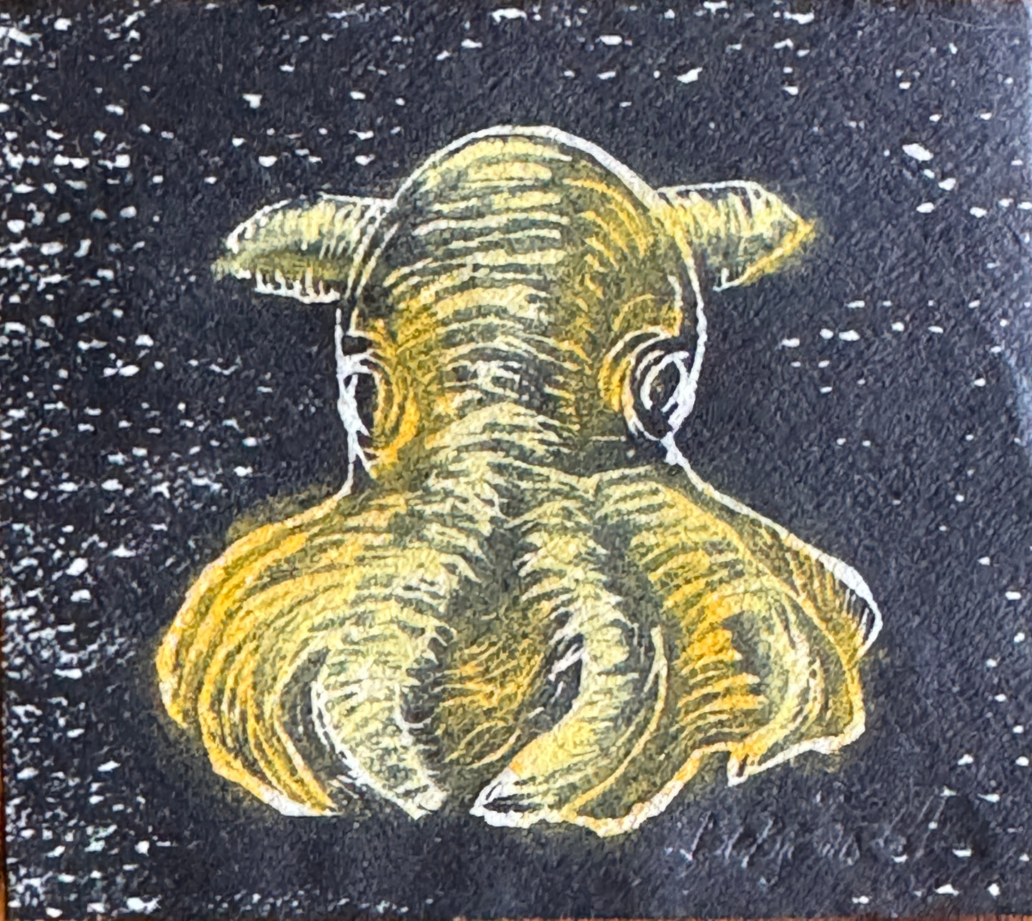 Dumbo blekksprut