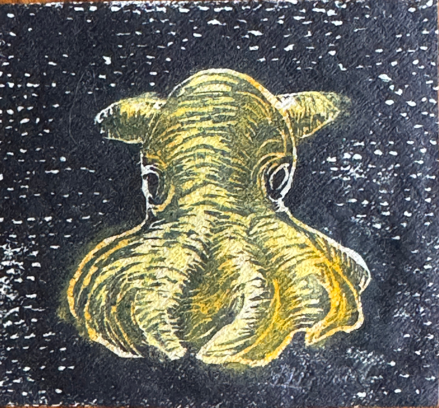 Dumbo blekksprut