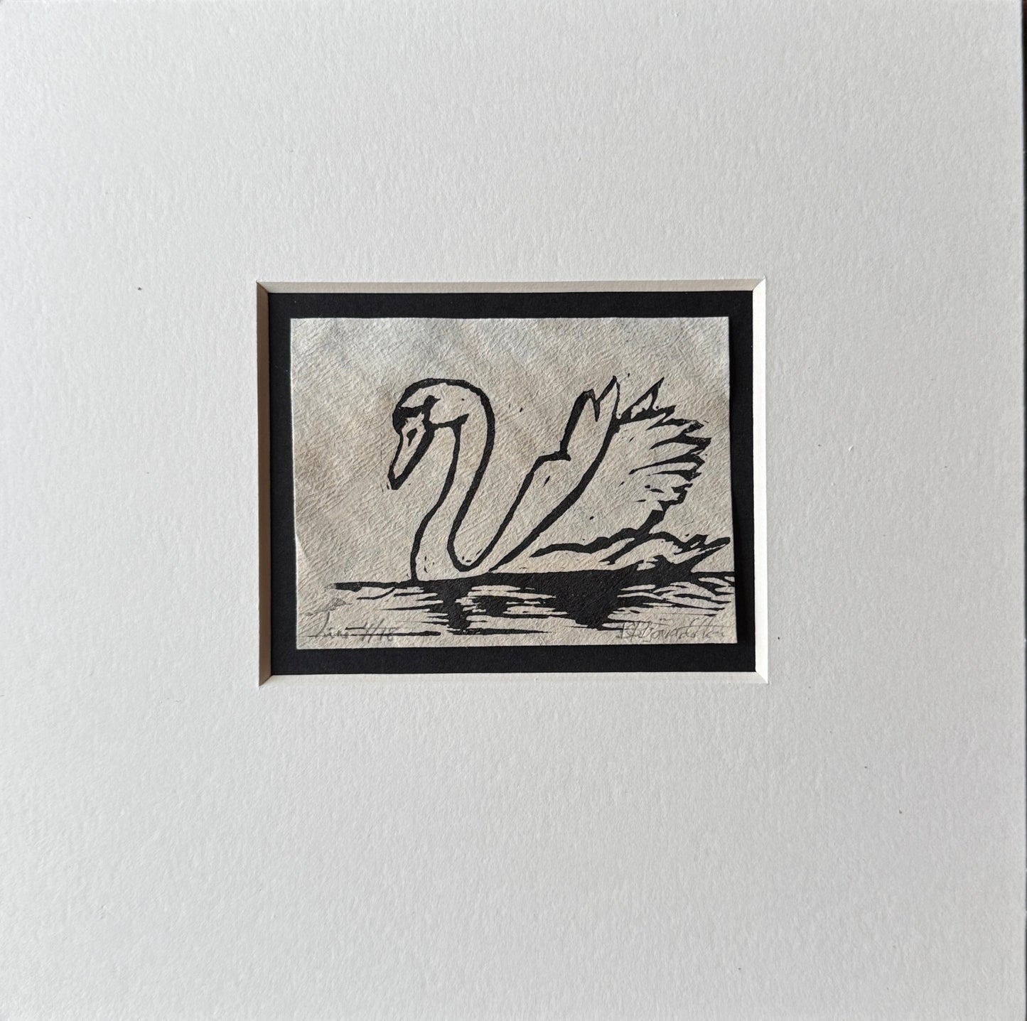 Svane inkl passepartout