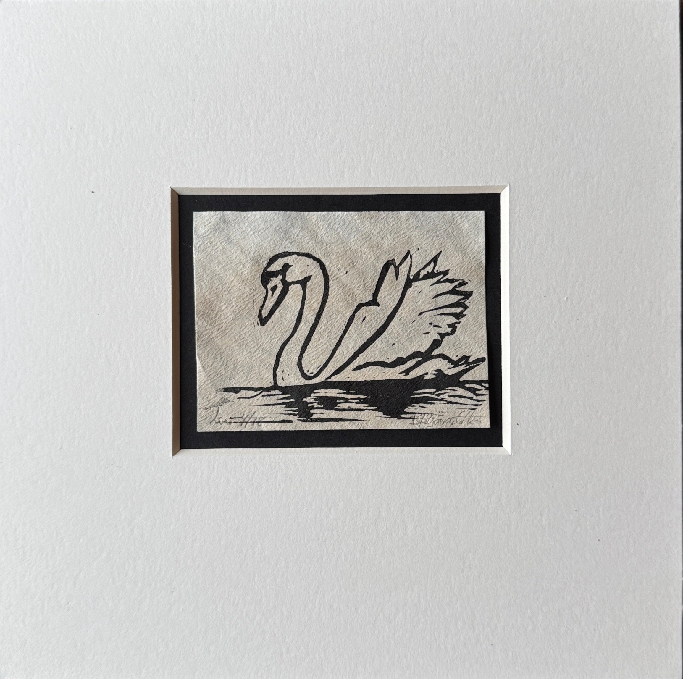 Svane inkl passepartout