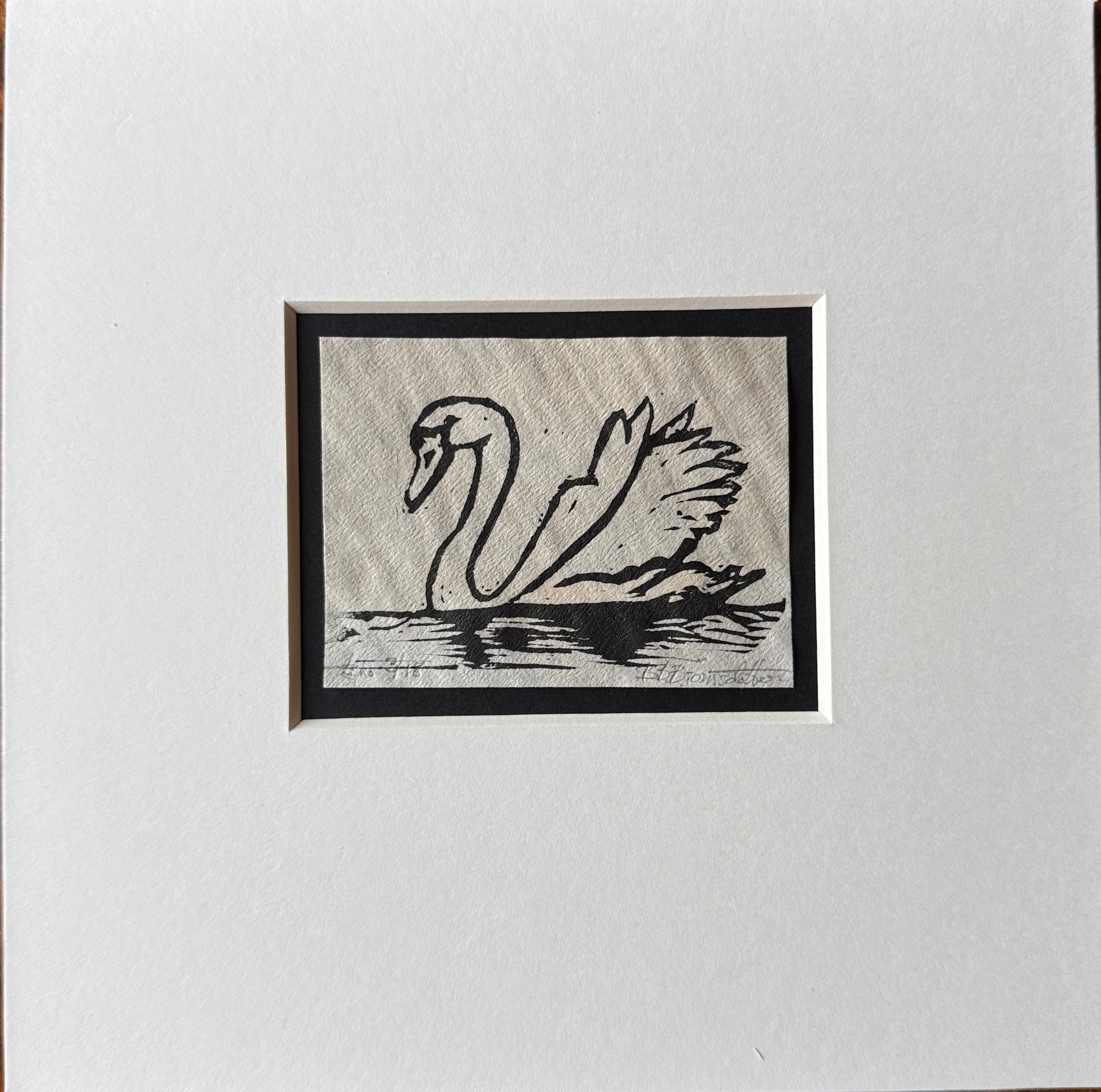 Svane inkl passepartout