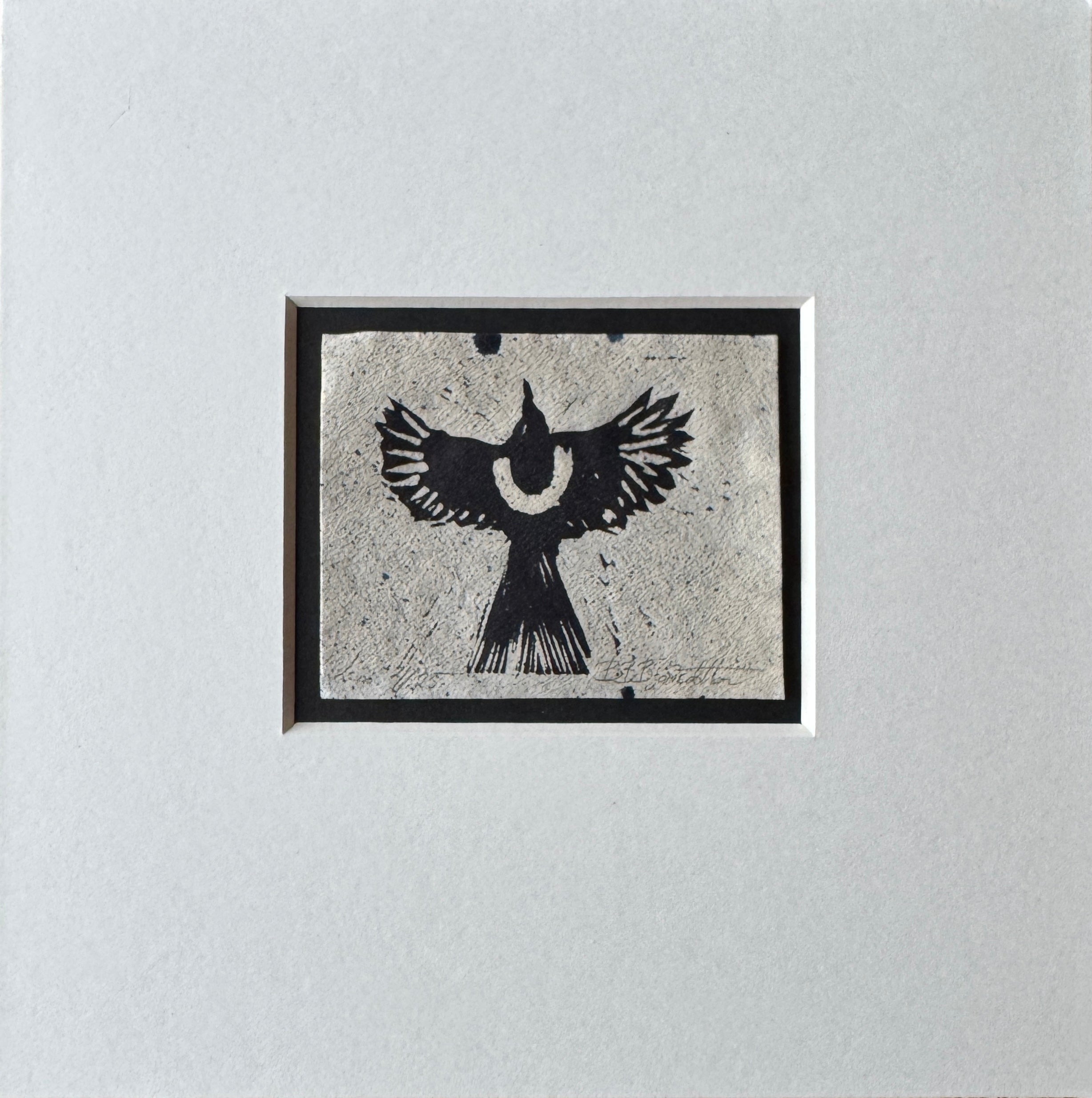 Skjor inkl passepartout