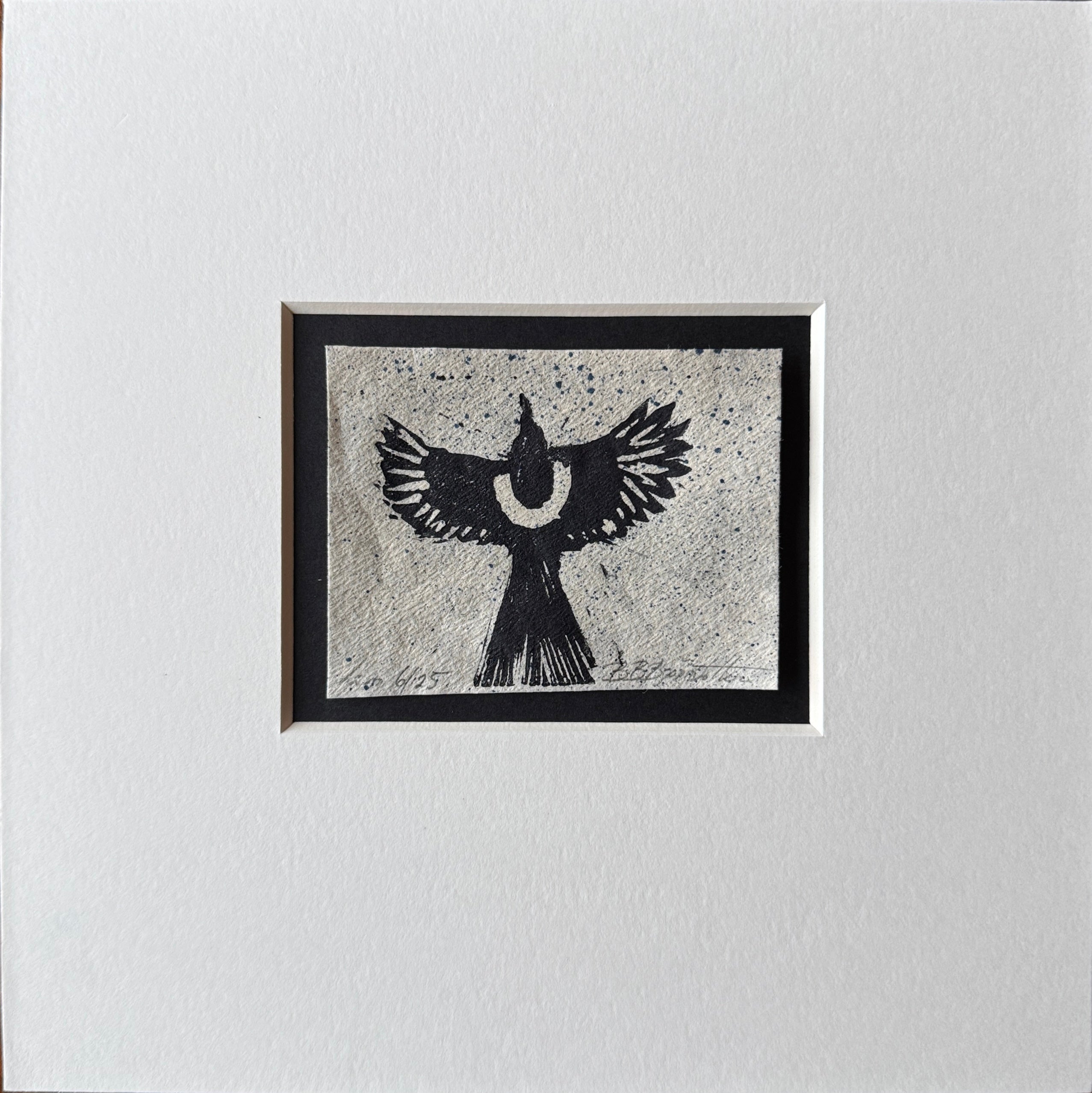 Skjor inkl passepartout