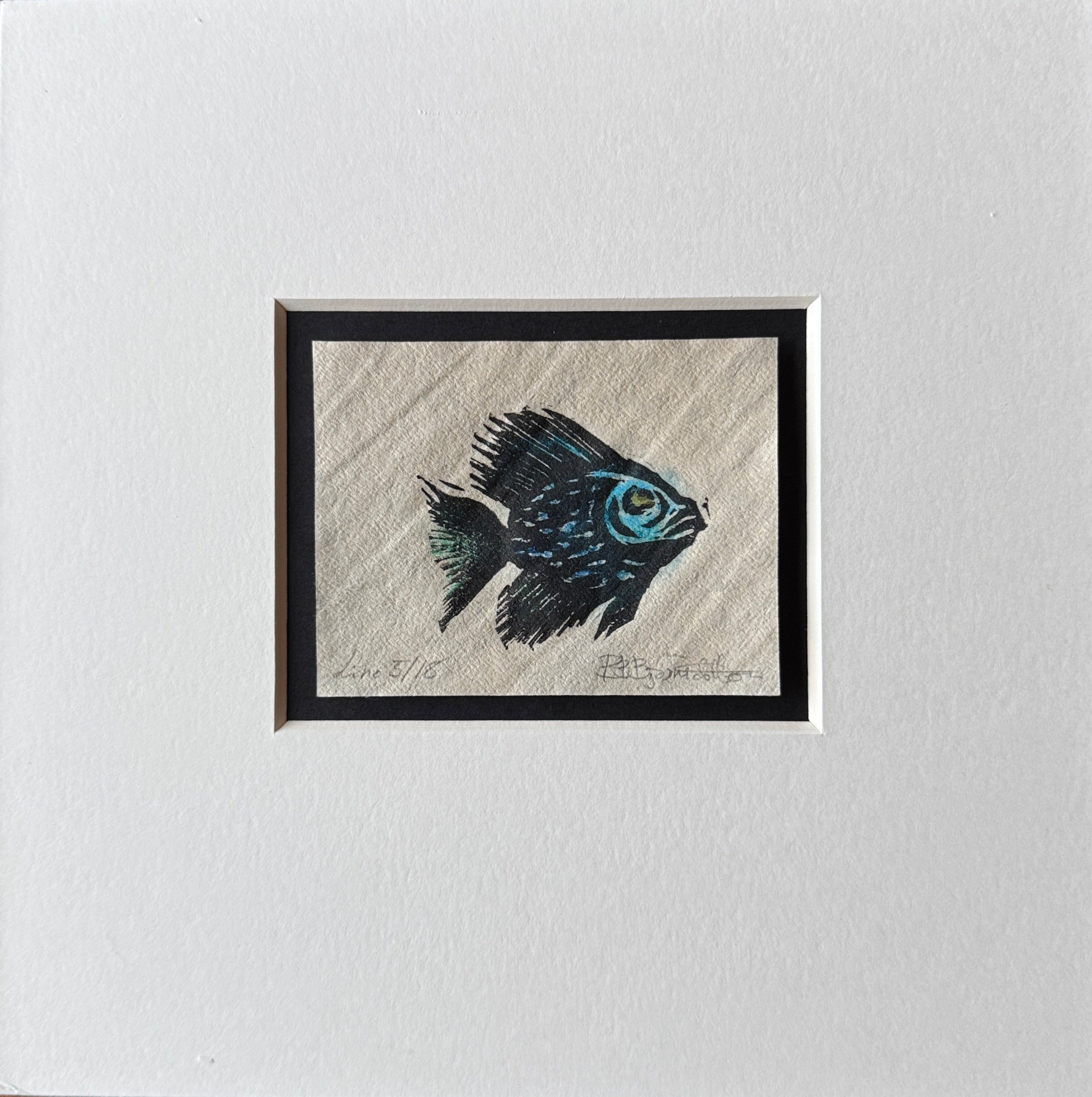 Liten fisk inkl passepartout