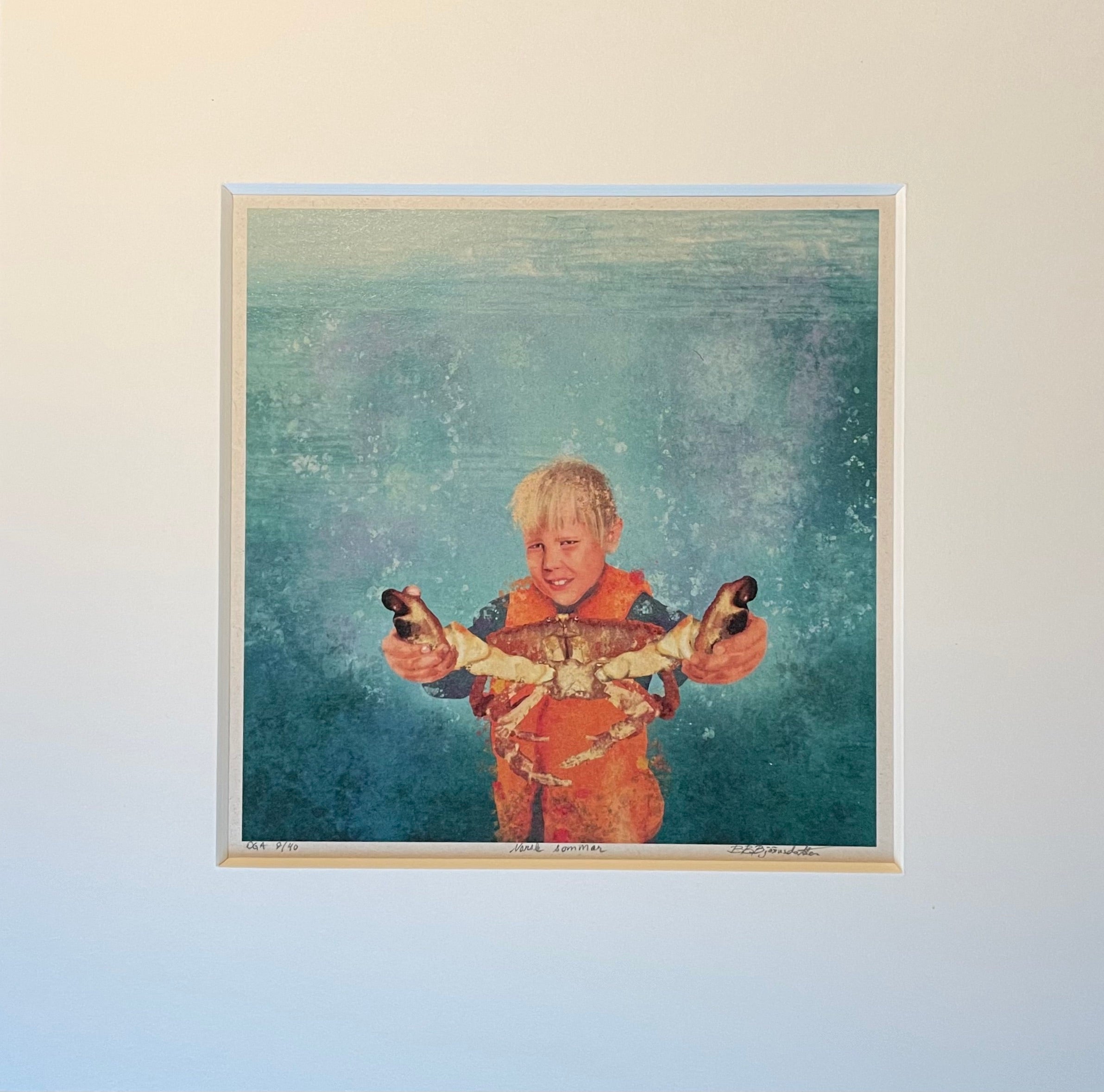 Norsk sommar inkl passepartout